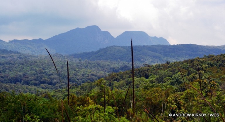 Organized violence against indigenous Batwa in Kahuzi-Biega National Park, groups report